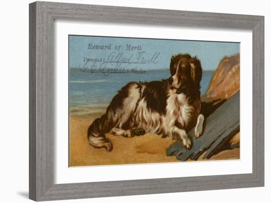 Border Collie Dog on Beach-American School-Framed Giclee Print