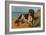 Border Collie Dog on Beach-American School-Framed Giclee Print