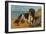 Border Collie Dog on Beach-American School-Framed Giclee Print