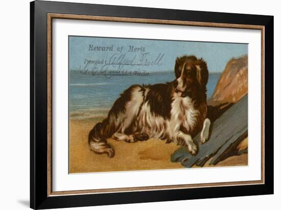 Border Collie Dog on Beach-American School-Framed Giclee Print