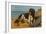 Border Collie Dog on Beach-American School-Framed Giclee Print