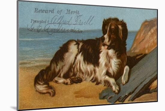 Border Collie Dog on Beach-American School-Mounted Giclee Print