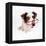 Border Collie Dog Wearing Glasses-null-Framed Premier Image Canvas