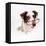 Border Collie Dog Wearing Glasses-null-Framed Premier Image Canvas