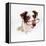 Border Collie Dog Wearing Glasses-null-Framed Premier Image Canvas