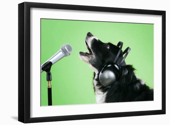 Photographic Print, , large
