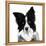 Border Collie I-Grace Popp-Framed Stretched Canvas