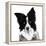 Border Collie I-Grace Popp-Framed Stretched Canvas