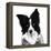 Border Collie I-Grace Popp-Framed Stretched Canvas