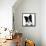 Border Collie I-Grace Popp-Framed Stretched Canvas displayed on a wall