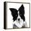 Border Collie I-Grace Popp-Framed Stretched Canvas