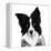 Border Collie I-Grace Popp-Framed Stretched Canvas