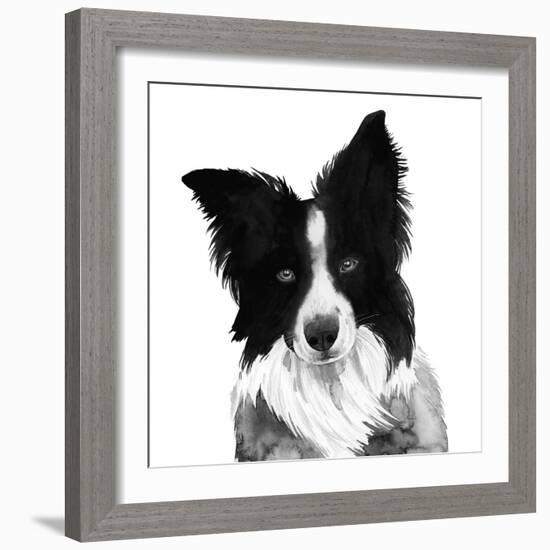 Border Collie I-Grace Popp-Framed Art Print