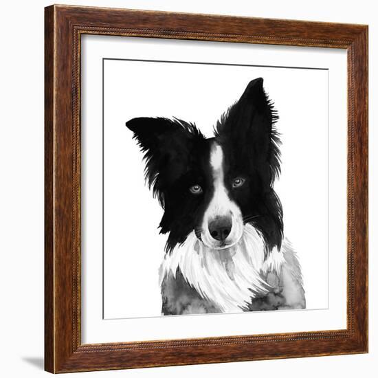 Border Collie I-Grace Popp-Framed Art Print