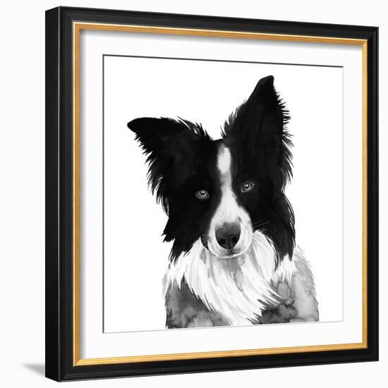 Border Collie I-Grace Popp-Framed Art Print