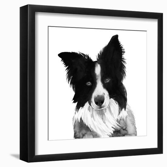 Border Collie I-Grace Popp-Framed Art Print