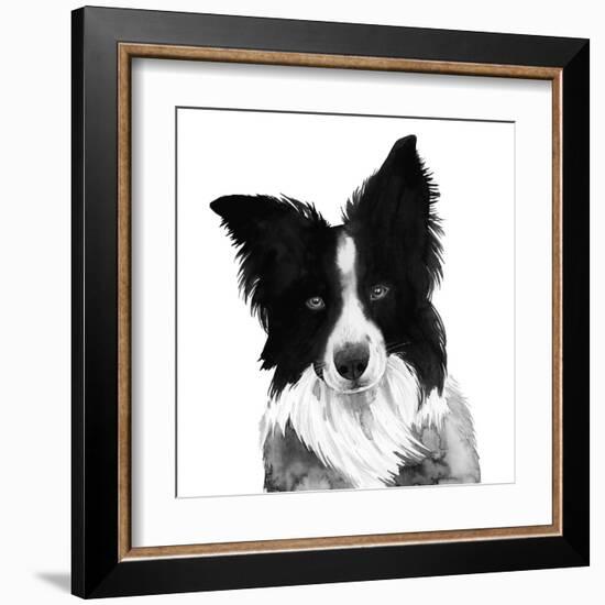 Border Collie I-Grace Popp-Framed Art Print