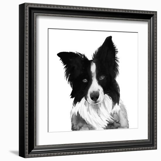 Border Collie I-Grace Popp-Framed Art Print