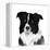 Border Collie II-Grace Popp-Framed Stretched Canvas