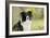 Border Collie in Front of Tree-null-Framed Photographic Print
