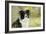 Border Collie in Front of Tree-null-Framed Photographic Print