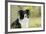 Border Collie in Front of Tree-null-Framed Photographic Print