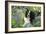 Border Collie Lying in Bluebells-null-Framed Photographic Print