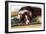 Border Collie Lying on its Bed-null-Framed Photographic Print