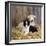 Border Collie Puppy with Lamb-null-Framed Photographic Print