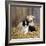 Border Collie Puppy with Lamb-null-Framed Photographic Print