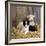 Border Collie Puppy with Lamb-null-Framed Photographic Print