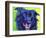 Border Collie - Viktor-Dawgart-Framed Giclee Print