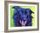 Border Collie - Viktor-Dawgart-Framed Giclee Print