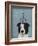 Border Collie with Blue Vase-Fab Funky-Framed Art Print