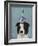 Border Collie with Blue Vase-Fab Funky-Framed Art Print