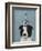 Border Collie with Blue Vase-Fab Funky-Framed Premium Giclee Print