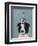 Border Collie with Blue Vase-Fab Funky-Framed Premium Giclee Print