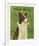 Border Collie-John W^ Golden-Framed Art Print