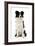 Border Collie-null-Framed Photographic Print