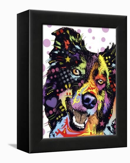 Border Collie-Dean Russo-Framed Premier Image Canvas