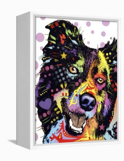 Border Collie-Dean Russo-Framed Premier Image Canvas