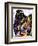 Border Collie-Dean Russo-Framed Giclee Print