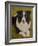 Border Collie-John Silver-Framed Giclee Print