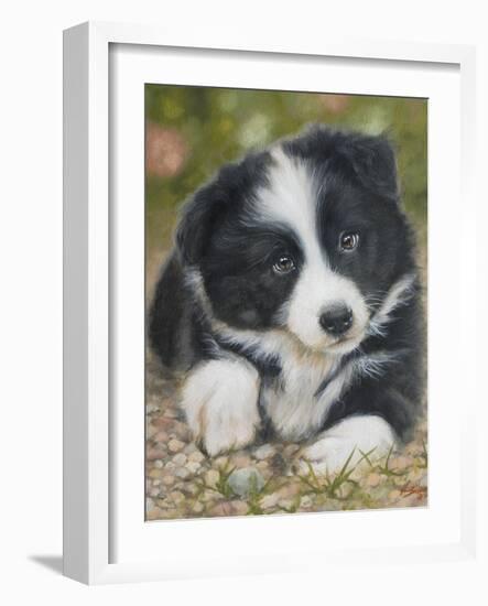 Border Collie-John Silver-Framed Giclee Print