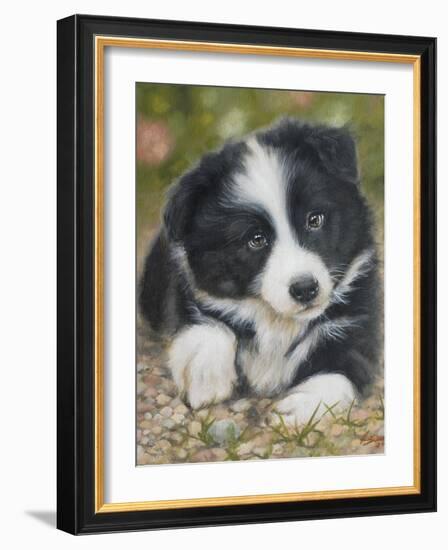 Border Collie-John Silver-Framed Giclee Print