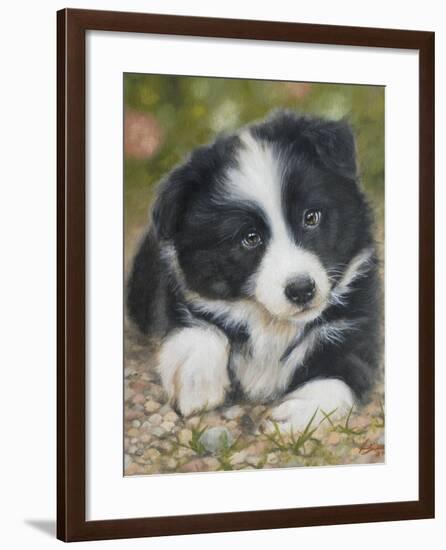 Border Collie-John Silver-Framed Giclee Print