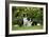 Border Collies Sitting in the Garden-null-Framed Photographic Print