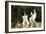 Border Collies Sitting on Tree Stump-null-Framed Photographic Print