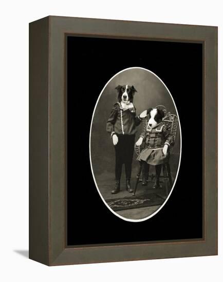 Border Collies-J Hovenstine Studios-Framed Premier Image Canvas