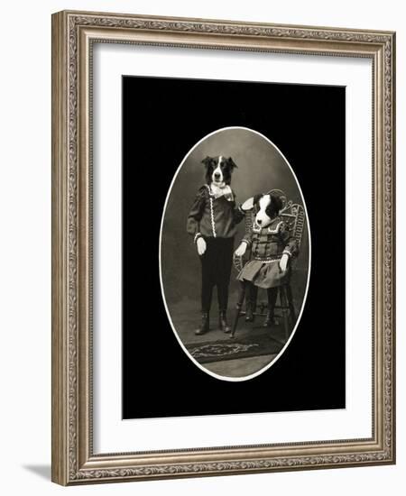 Border Collies-J Hovenstine Studios-Framed Giclee Print